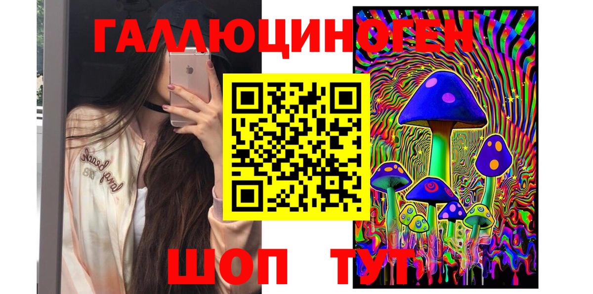 Псилоцибиновые грибы Psilocybe Ливны